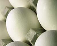 Chinese police probe two companies over toxic eggs: report
