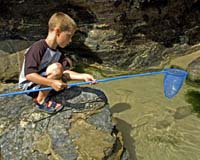 Wild Play As A Child Breeds Respect For Environment In Adults