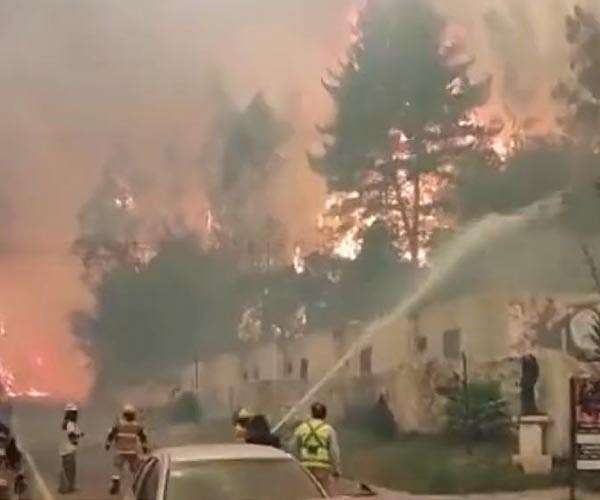 Chile declares emergency as wildfires kill at least 19