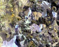 Sulfur Stinks Up Oxygen Theories