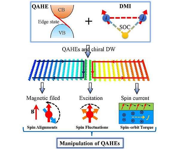 Chiral magnetic domain walls control the quantum anomalous hall effect