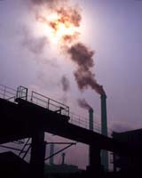 China's Growth Could Be Fatal For The Planet's Environment