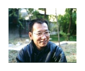 Top China dissident appeals subversion conviction: lawyer