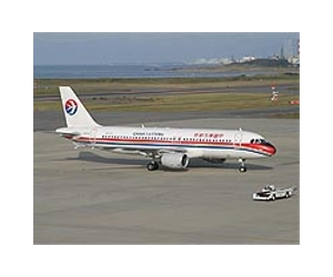 Probe launched after China pilots falsified records: govt