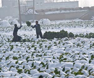 Quiet amid the snows after N. Korea atom blast