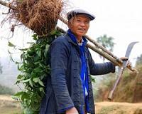 China targets land grabs, forced evictions in new law