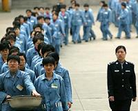 Six months after China crackdown lawyers strike back