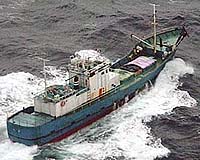 China illegally fishing in Africa, Greenpeace study finds