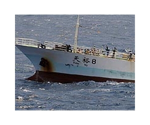 South China Sea Piracy on the rise: watchdog