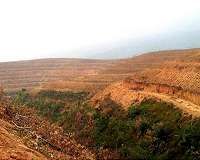 New look at satellite data questions scale of China's afforestation success