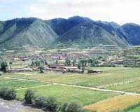 Hu Jintao Battles For Chinese Countryside