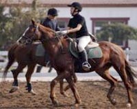 New wealth stirs Chinese interest in horse-riding