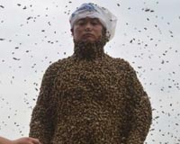Chinese man covered with 460,000 bees for honey stunt
