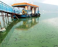Birth defects soar in polluted China