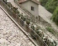 Nationalism imbues China quake volunteer drive