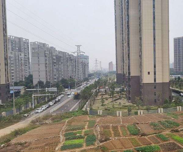 'Are You Dead?': Chinese app for solo dwellers goes viral