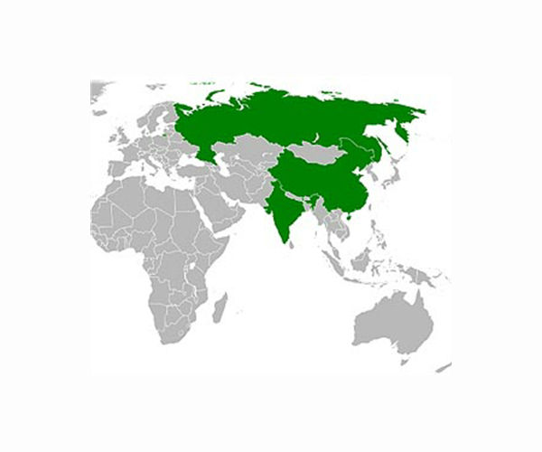 China wary of being impacted by Russia sanctions: FM