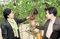 Space Vegetables Due In March