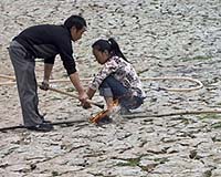Emergency as drought hits key farm regions in China: state media