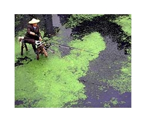 Chinese artist Zeng Fanzhi focuses on environment