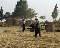 China steps up efforts to curb grain smuggling: official media