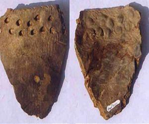 Oldest known pottery is found in China