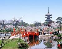 China battles 'unfair' trader image with import expo