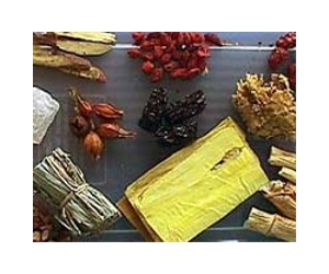 Revealed: secrets of ancient Chinese medicinal herb
