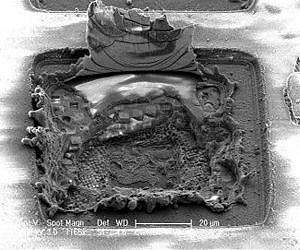 Creating indestructible self-healing circuits