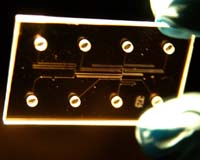 Lab-On-a-Chip Could Speed Up Treatment of Drug-Resistant Pneumonia
