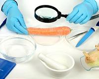 Chitosan, a sustainable alternative for food packaging
