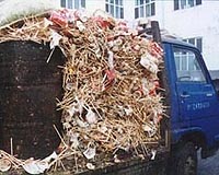 Japan eyes chopsticks for biofuel