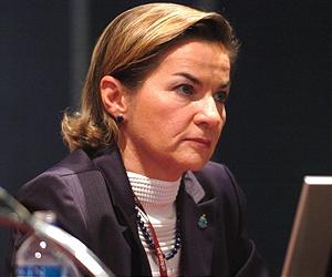 UN climate chief calls for quick action at China talks