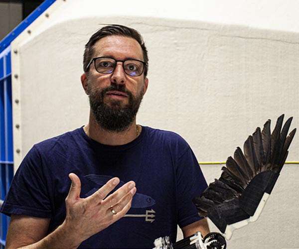 Feathered robotic wing paves way for flapping drones