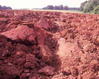 Building On Shifting Sands