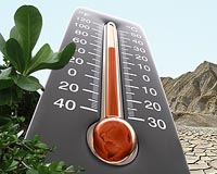 Climate models disagree on why temperature 'wiggles' occur