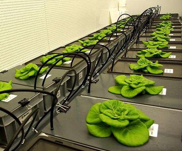 New Israeli innovation hub seeks foodtech 'revolutions'