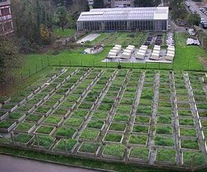 An electronic green thumb