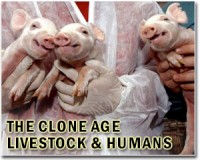First monkeys cloned by process that made Dolly the sheep