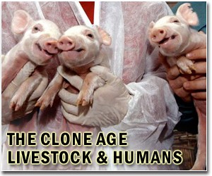 Cloning might create live woolly mammoth