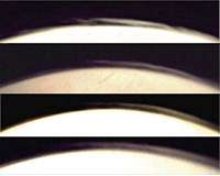 Webcam on Mars Express surveys high-altitude clouds