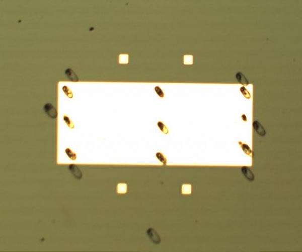 Physicists observe an exotic multiferroic state in an atomically thin material