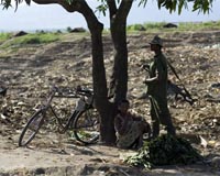 Ebola epidemic kills nine in central DR Congo: report