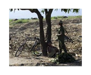Congo M23 rebels 'practically' finished: UN envoy