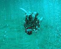 Deep diving scientists discover bubbling CO2 hotspot