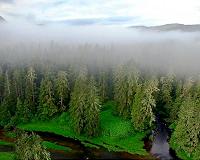 People enhanced the environment, not degraded it, over past 13,000 years