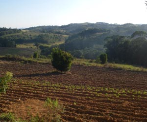 Scientists help adapt Brazil farming to climate change