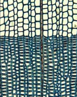 Ancestor of Modern Trees Preserves Record Of Ancient Climate Change