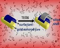 An improved method for coating gold nanorods