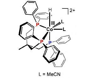 Showing the way to improved water-splitting catalysts